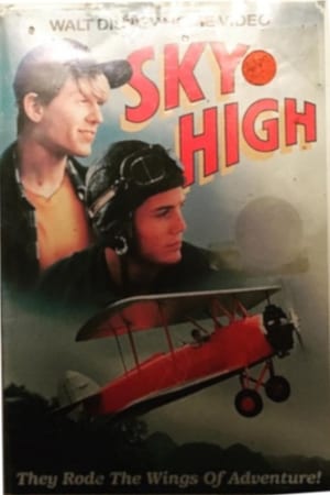 25 Best Movies Like Sky High ...