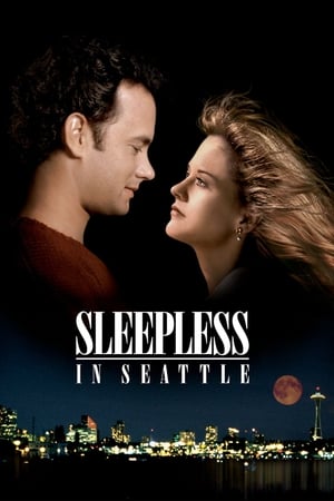 31 Best Movies Like Sleepless In Seattle ...