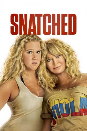 26 Best Movies Like Snatched ...