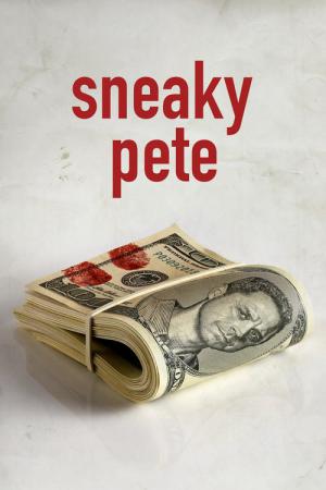 22 Best Shows Like Sneaky Pete ...