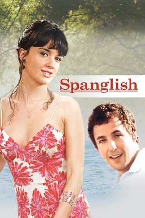 30 Best Movies Like Spanglish ...