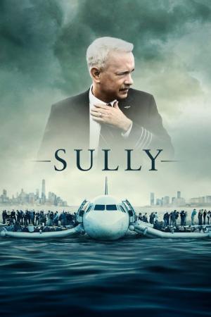 31 Best Movies Like Sully ...