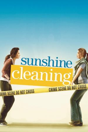 31 Best Movies Like Sunshine Cleaning ...