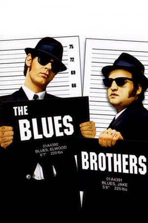 30 Best Movies Like Blues Brothers ...
