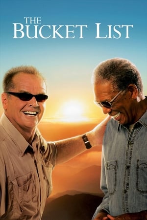 31 Best Movies Like The Bucket List ...