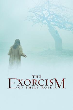 29 Best Movies Like The Exorcism Of Emily Rose ...