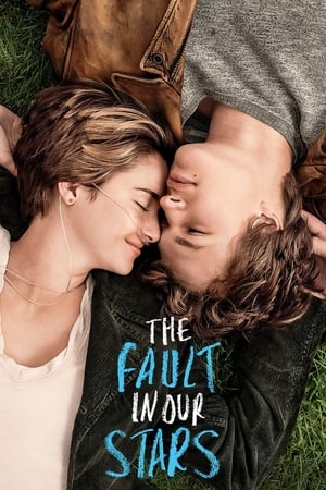 29 Best Movies Like Fault In Our Stars ...
