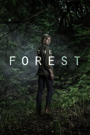 32 Best Movies Like The Forest ...
