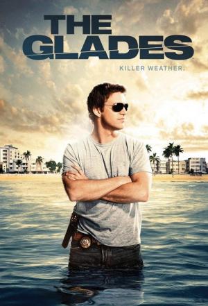 20 Best Shows Like The Glades ...