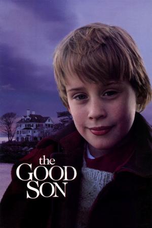 31 Best Movies Like The Good Son ...
