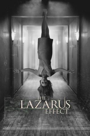 30 Best Movies Like The Lazarus Effect ...