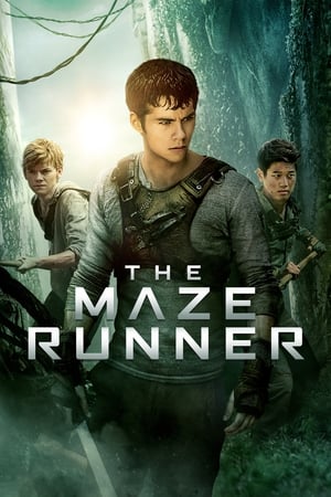 29 Best Movies Like Maze Runner ...