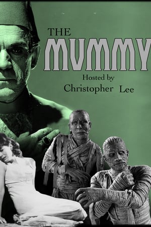 32 Best Movies Like The Mummy ...