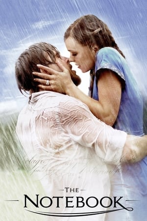 30 Best Movies Like The Notebook ...