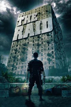 29 Best Movies Like The Raid ...