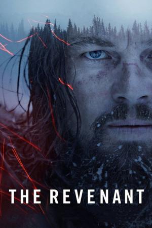 31 Best Movies Like The Revenant ...
