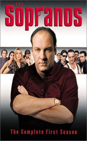 29 Best Shows Like The Sopranos ...