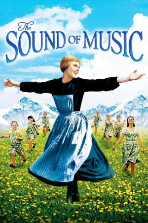 24 Best Movies Like Sound Of Music ...