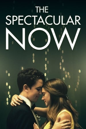 30 Best Movies Like The Spectacular Now ...