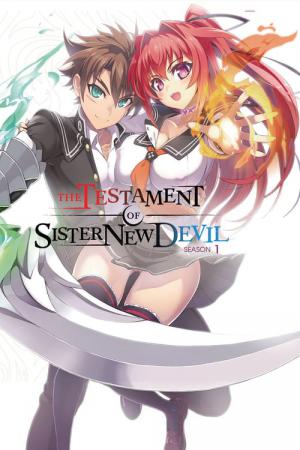 24 Best Anime Like The Testament Of Sister New Devil ...