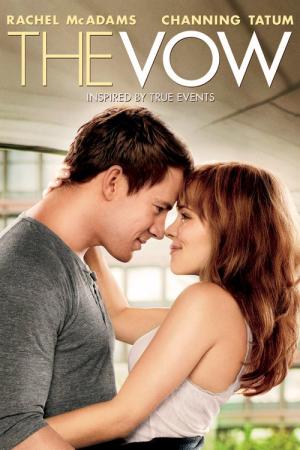31 Best Movies Like The Vow ...