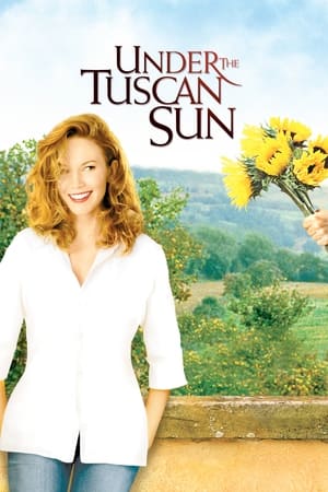 31 Best Movies Like Under The Tuscan Sun ...