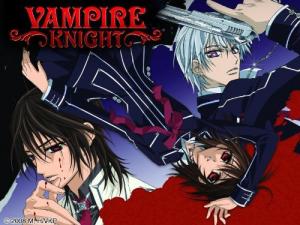 16 Best Shows Like Vampire Knight ...