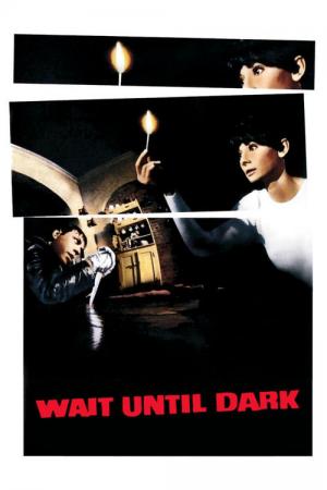 21 Best Movies Like Wait Until Dark ...