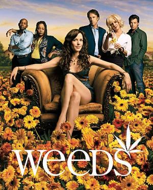 19 Best Shows Like Weeds ...