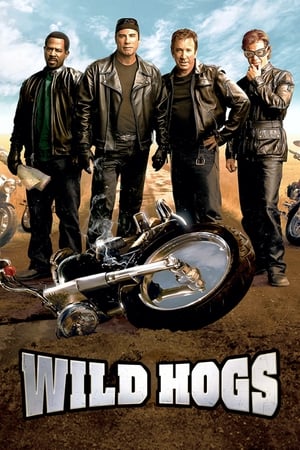 31 Best Movies Like Wild Hogs ...
