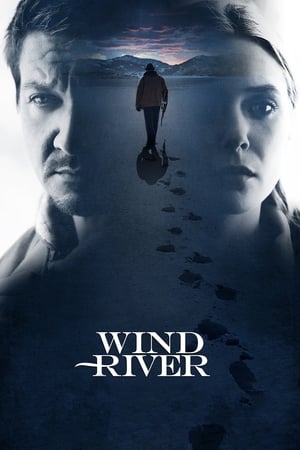 31 Best Movies Like Wind River ...