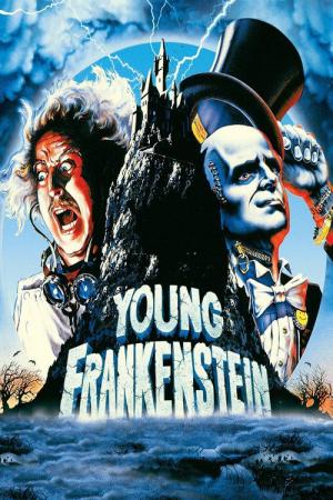 27 Best Movies Like Young Frankenstein ...