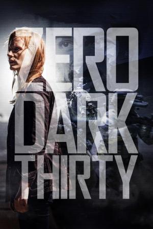 31 Best Movies Like Zero Dark Thirty ...